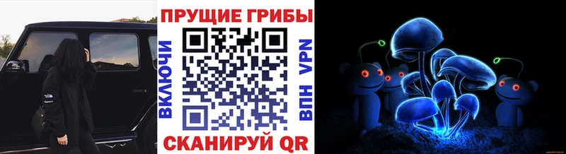 Галлюциногенные грибы мицелий  купить наркотик  даркнет какой сайт  Тарко-Сале 